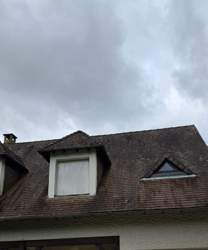 Travaux de démoussage Lot